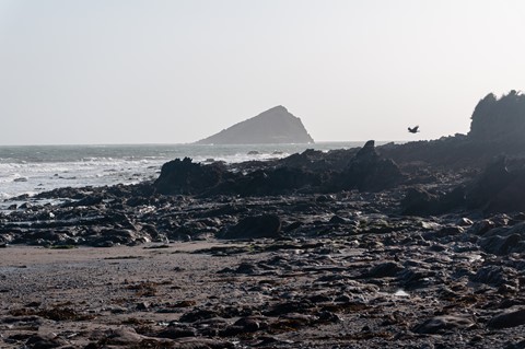 Photo by DarkCorby78