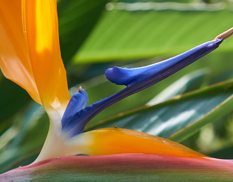 Photo by BrentSchumer