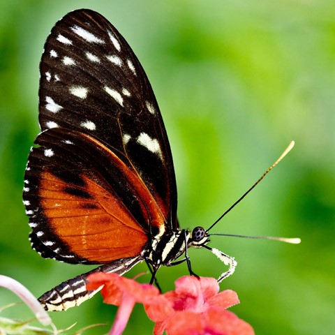 Photo by mreservices