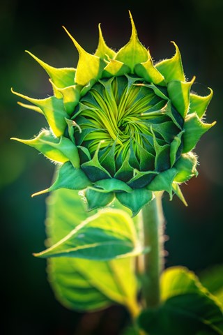 Photo by framing-places