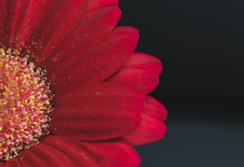 Photo by PhotoNut117