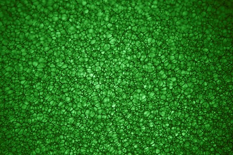 Photo by Brightrider