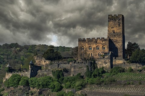 Photo by Mitchmeister