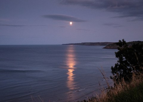 Photo by hectorpatrick