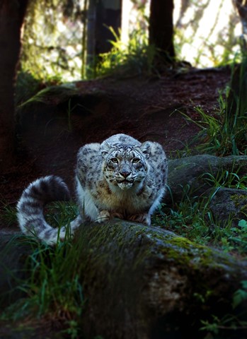 Photo by AFPhotography