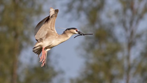 Photo by searching_eyes