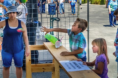 Photo by Mitchmeister