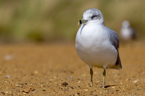 Photo by mreservices