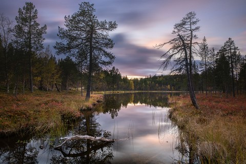 Photo by Autumn evening