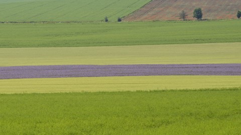 Photo by Brightrider