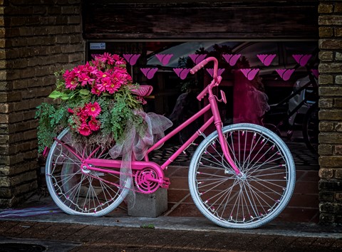 Photo by Mitchmeister