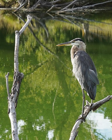 Photo by Denver Dave