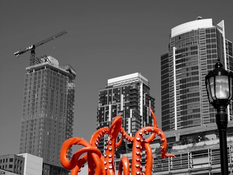 Photo by Barry  Twycross