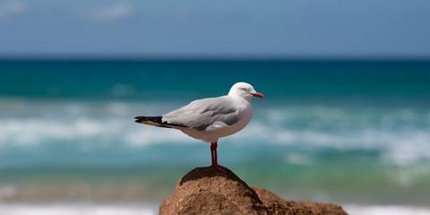 Photo by ClementPhotos