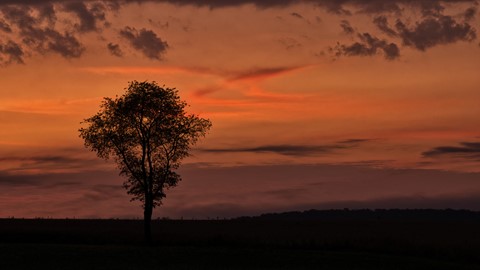 Photo by mreservices