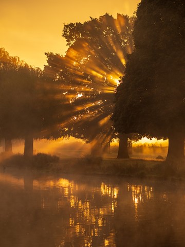 Photo by Sunburst Morning