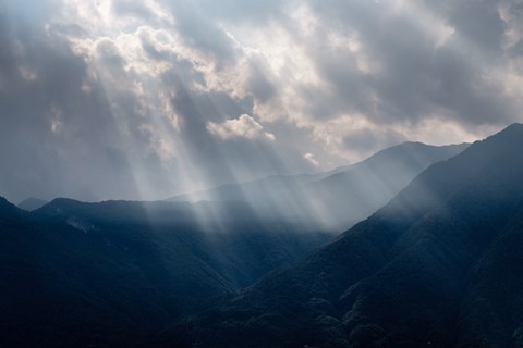 Photo by petergerritsen