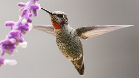 Photo by Guy Churchward