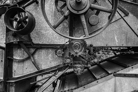 Photo by Richard Carande