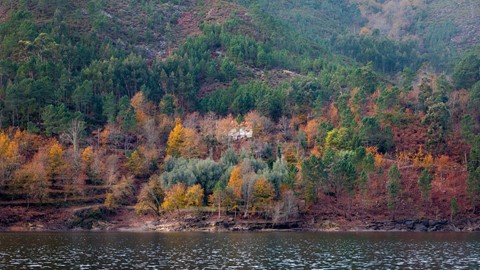 Photo by Davidabsilva