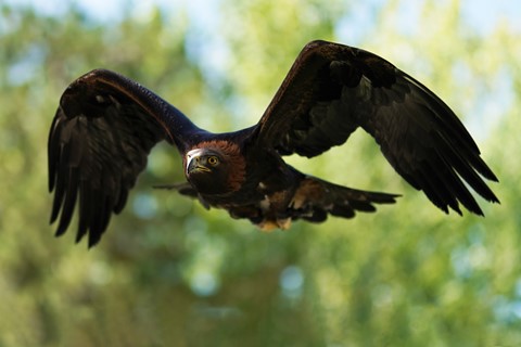 Photo by Luis Gabriel Photography