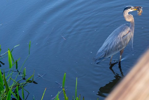 Photo by sergiodaguru