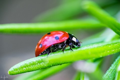 Photo by Living happily