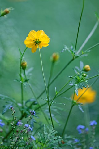 Photo by _DSC7538_DxO