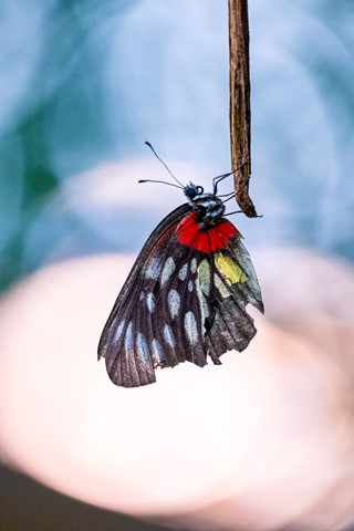 Photo by Bear_with_cam