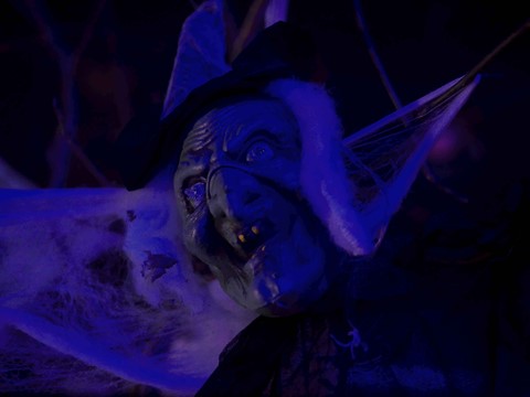 Photo by Tim Reidy Productions