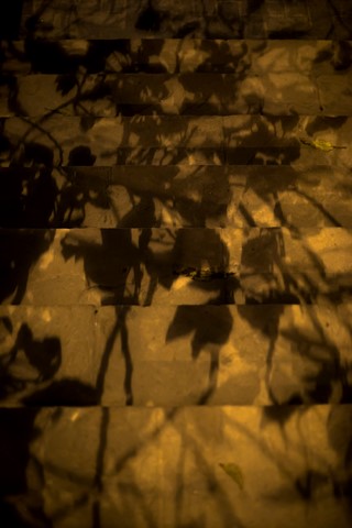 Photo by Sanchopanchi