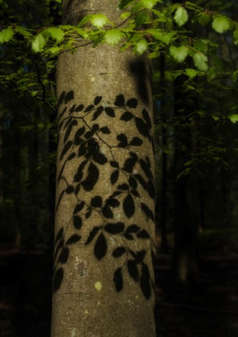 Photo by Natural Tattoo