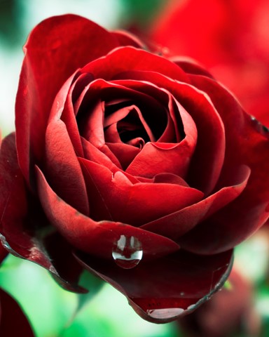 Photo by vibraslapper