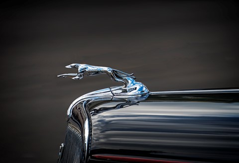 Photo by Mitchmeister