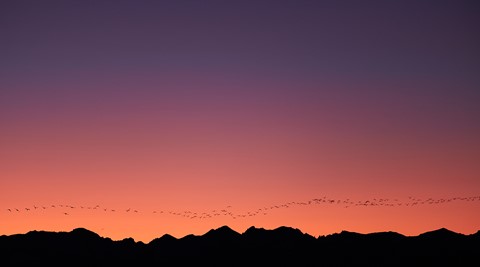 Photo by georgehudetz