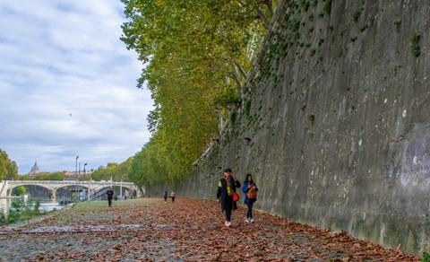 Photo by Painted Lady