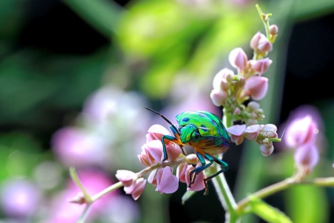 Photo by UdayanSankarPal