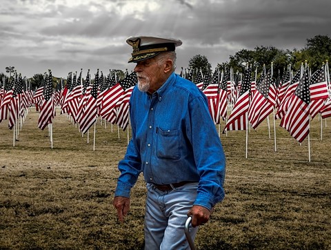 Photo by Mitchmeister