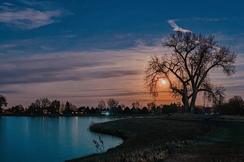 Photo by Richard Carande