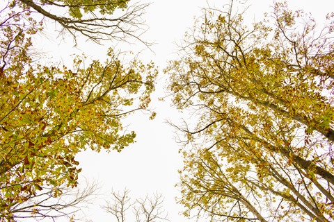 Photo by Charlie Meier