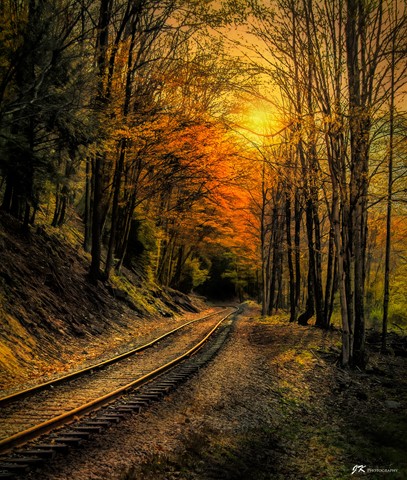 Photo by James Korringa