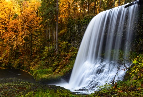 Photo by Joseph K Boston