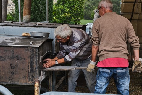 Photo by catastrophe