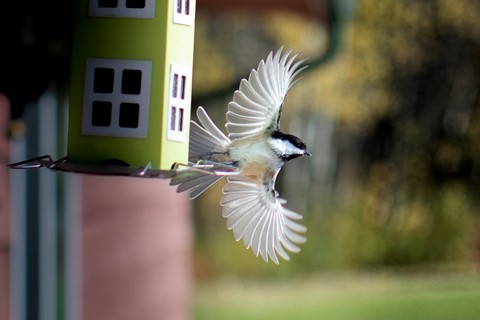 Photo by LifeByDesign