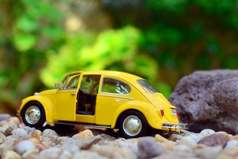 Photo by Flor Tempra