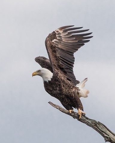 Photo by Southernboy88