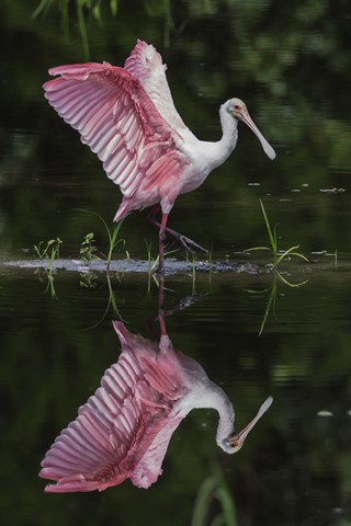 Photo by Southernboy88