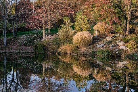 Photo by catastrophe