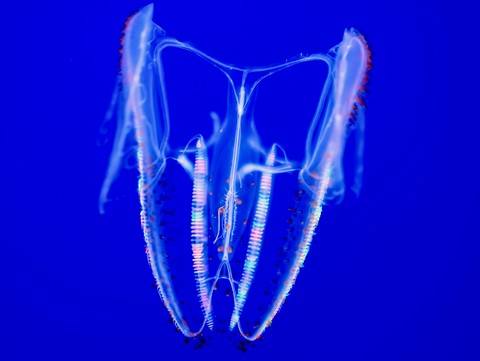 Photo by Barry  Twycross