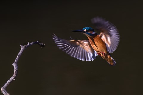 Photo by Embracing Sunlight